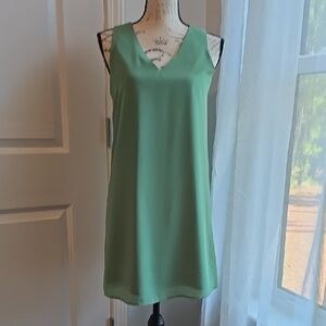 Naked Zebra Mint Sleeveless Dress